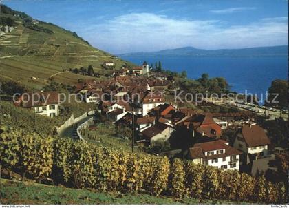 Twann Douanne Bielersee