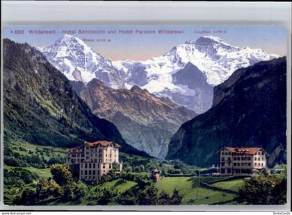 Wilderswil Hotel Schoenbuehl Hotel Pension Wilderswil *