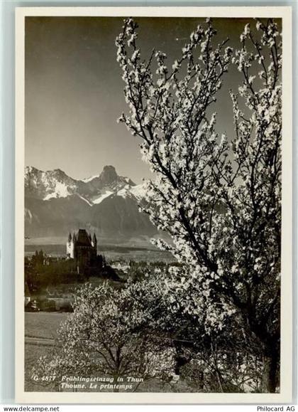 3600 Thun - 10311703