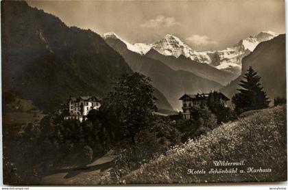 Wilderswil - Hotel Schönbühl