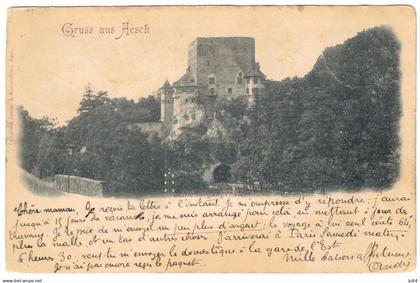 Suisse - Bâle - Aesch - Gruss aus Aesch - Ambulant n°2 - Carte Postale pour Paris - Cachet Paris étranger - 1901