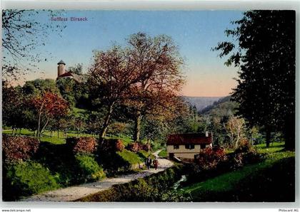 4144 Arlesheim - Schloss Birseck - 10611618