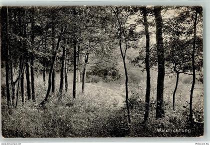 4127 Birsfelden 1909 - Waldlichtung Ort lt. Stempel - 39691083
