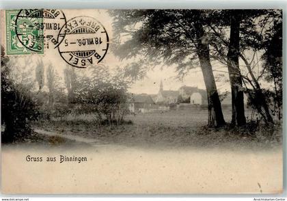 13251444 - Binningen