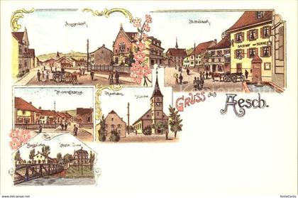 Aesch BL Repro