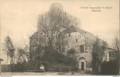 Aesch BL Schloss Angenstein