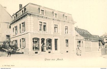 Aesch BL Stadtpanorama