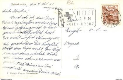 Gelterkinden BL Panorama