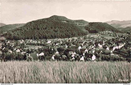 Sissach BL Panorama
