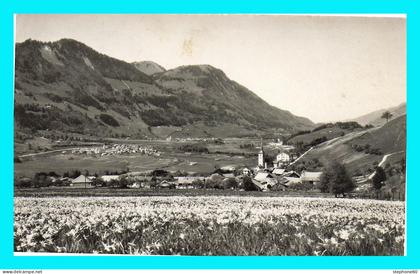 a957 / 417 Lessoc - Champ de narcisses