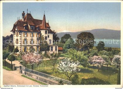 Estavayer-le-Lac Institut Stavia Neuenburgersee Baumbluete