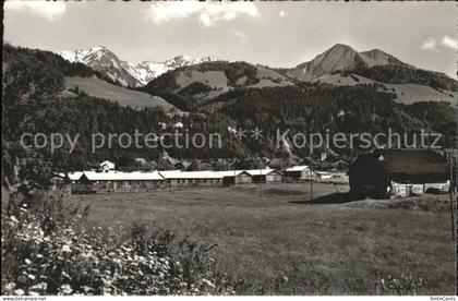 Grandvillard et Camp DCA