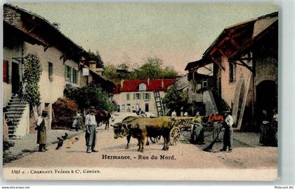 1248 Hermance - Rue du Nord Ochsenfuhrwerk - 13449094