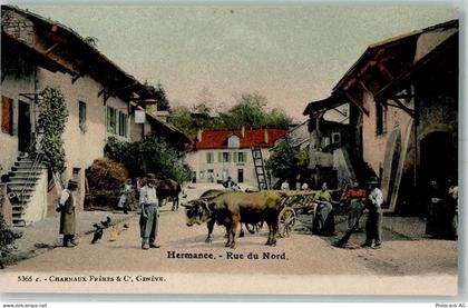 1248 Hermance - Rue du Nord Ochsenkarren - 13426443