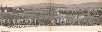 satigny ( genève ) * RARE CPA carte double * dans les vignes , un coin du village * enfants villageois suisse schweiz