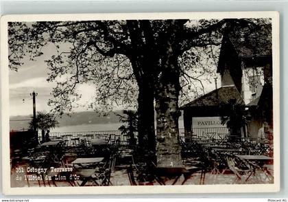1223 Cologny - Hotel du Lion d Or Terrasse - 10592486