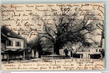 1298 Céligny Bossey 1906 - La Place - 10592374