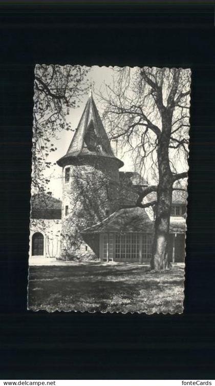 Celigny Chateau de Bossey