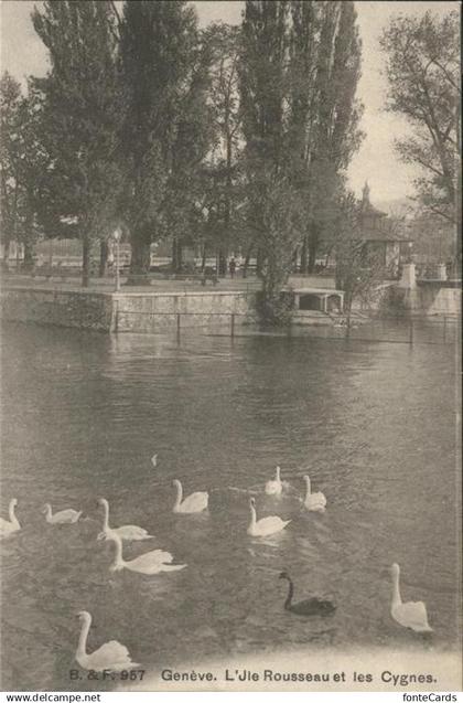 Geneve GE Schwan