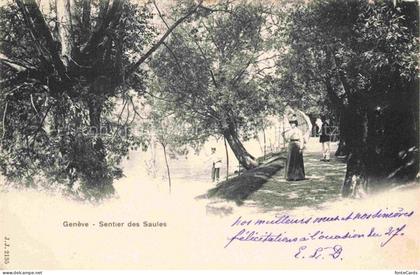 GENEVE Genf GE Sentier des Saules