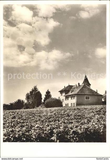 Satigny Dorfmotiv