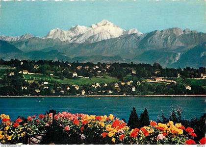 Suisse - GE Genève - Genève - Le Mont Blanc vu des environs de Genève - Fleurs - CPM - Carte Neuve - Voir Scans Recto-Ve
