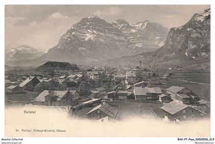 BAXP7-0679-SUISSE - NETSFAL - Vue panoramique