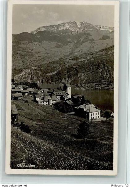 8758 Obstalden - 11062158