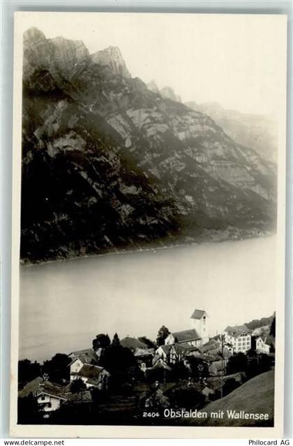 8758 Obstalden - Walensee - 10609519