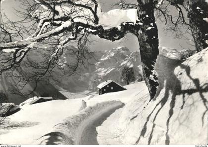 Braunwald GL Braunwald Toedi