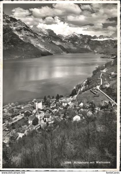 Muehlehorn