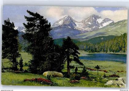 7505 Celerina/Schlarigna - Statzersee, Piz dAlbana, Piz Julier - 51078066