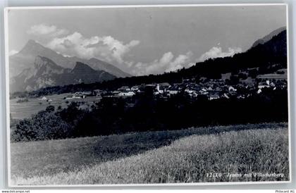7307 Jenins - Blick mit Fläscherberg - 51313774