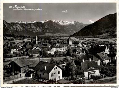 Maienfeld vom Schloss Salenegg