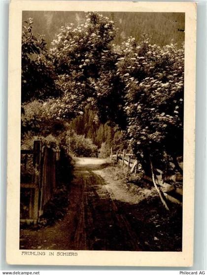 7220 Schiers - Heimatbilderserie Frühling - 39704353