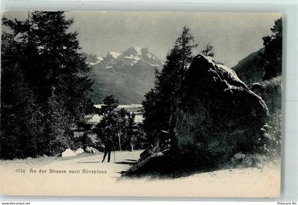 7513 Silvaplana Gebrauchsspuren an der Strasse nach Silvaplana - 10302282