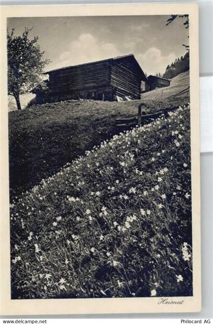 7215 Fanas - 51062062