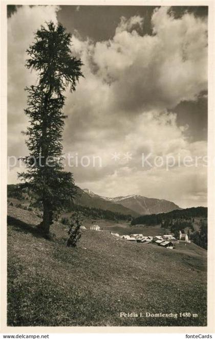 Feldis GR Domleschg