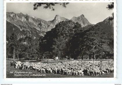 Maienfeld Heidibrunnen
