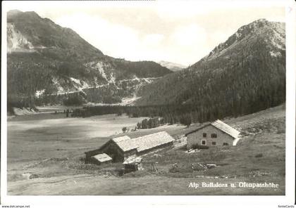 Tschierv Alp Buffalora Ofenpasshoehe o