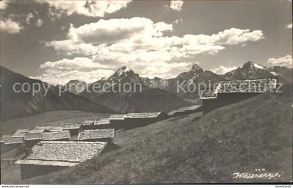 Wiesen Albula Alp