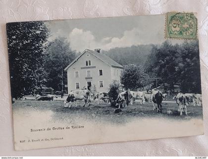 grotte de réclère , vaches