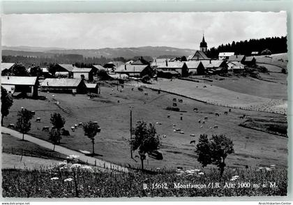 13149480 - Montfaucon
