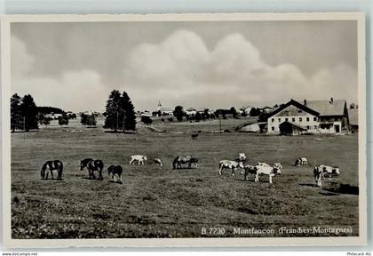 2362 Montfaucon - Kühe Pferde - 13149240