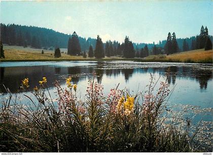 Carte Postale - Suisse - JU Jura - Etang de Plain de Saigne - CPM - Carte Neuve - Voir Scans Recto-Verso - Poscard - Car