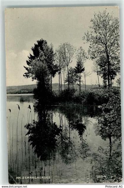 6204 Sempach Gebrauchsspuren Sempachersee - 39374508