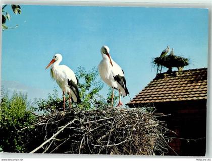 6204 Sempach - Sörche Nest Vogelwarte - 39692459