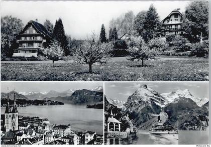 6045 Meggen - Ferienheim Sonnrain - 50413331