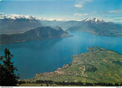 Carte Postale - Suisse - LU Lucerne - Hertenstein-Weggis - Kurort Weggis Hertenstein vom Rigi aus, mit Pilatus, Bijrgens