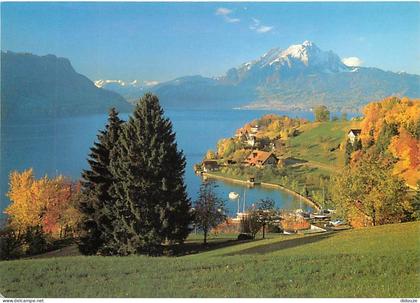 Carte Postale - Suisse - LU Lucerne - Hertenstein-Weggis - Pilatus - Vierwaldstattersee - CPM - Carte Neuve - Voir Scans
